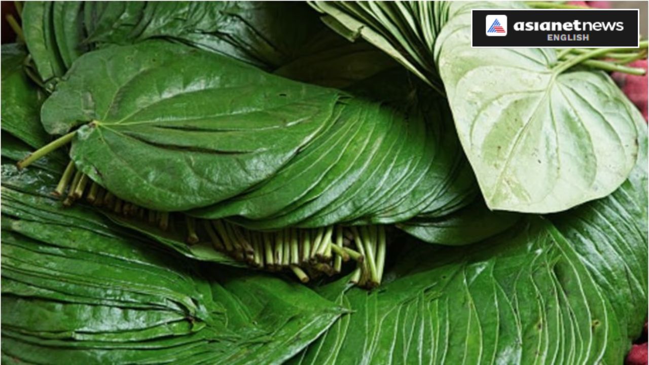 India’s Viral Paan Success Story: This 2016 Brand Now Serves 1 Lakh Customers Daily Across India